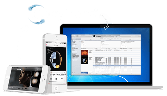 Transfer Ipod To Itunes Copy Iphone To Pc And Ipad To Computer