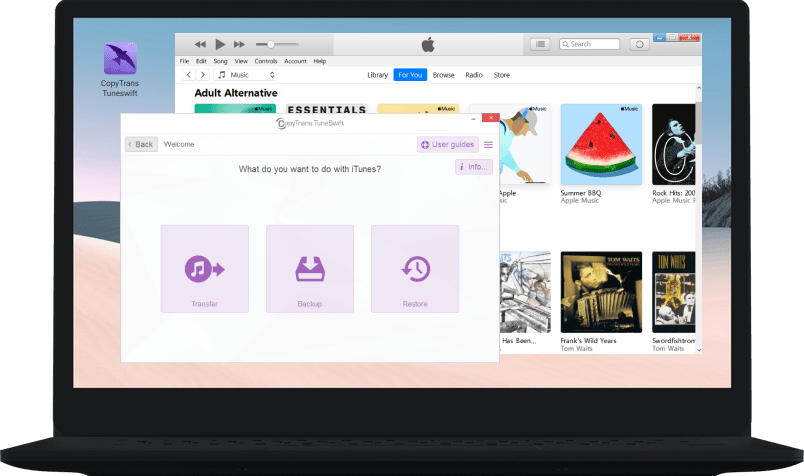 CopyTrans TuneSwift interface