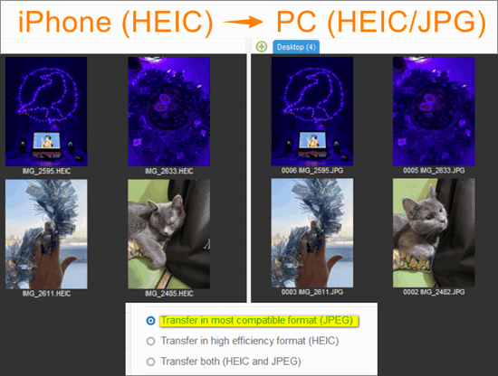 Transfer HEIC files to PC as JPEG