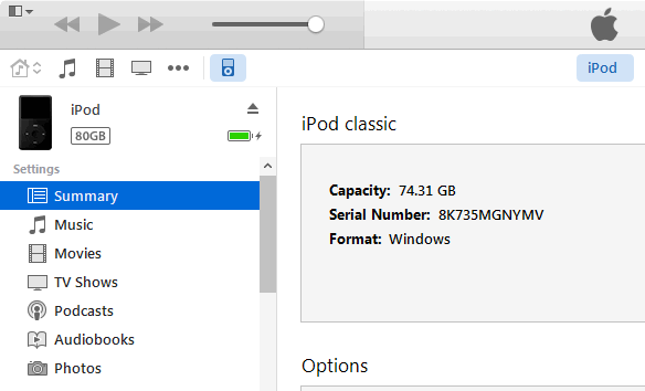 how to run a disk check on ipod