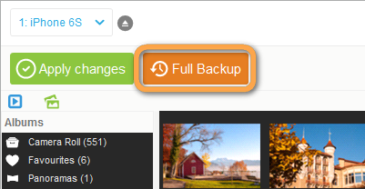 Click on Full Backup to backup iPhone photos in one click