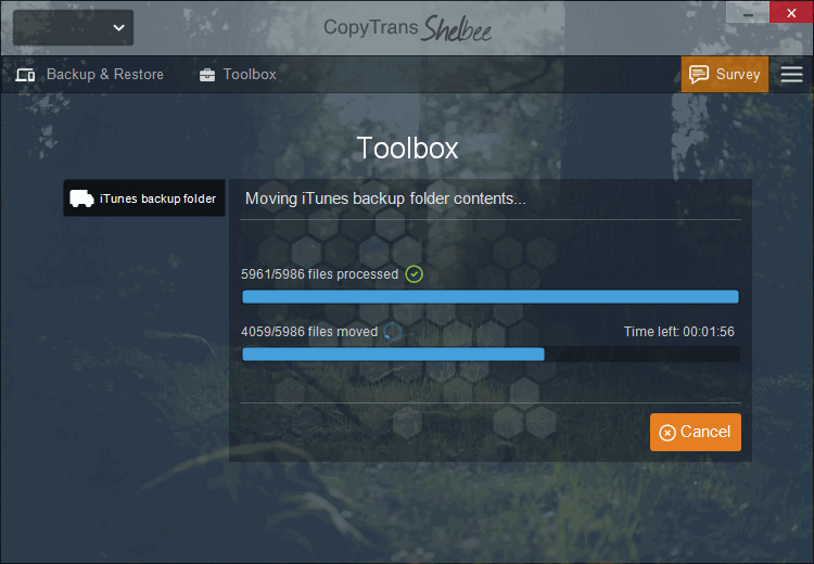 copytrans shelbee toolbox screen