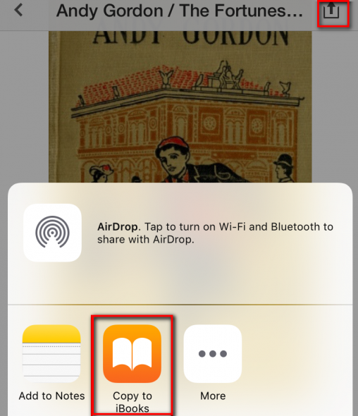 Add your ebooks to iBooks