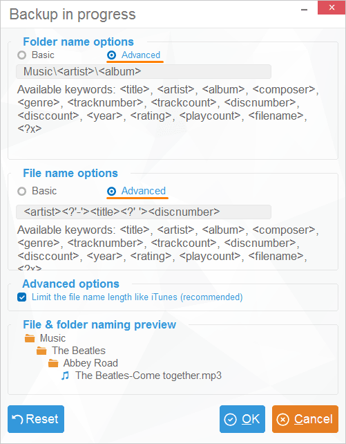 Advanced customization window in CopyTrans