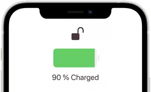 Fully charged battery iPhone