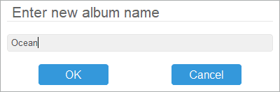Enter the name of new album in CopyTrans Photo