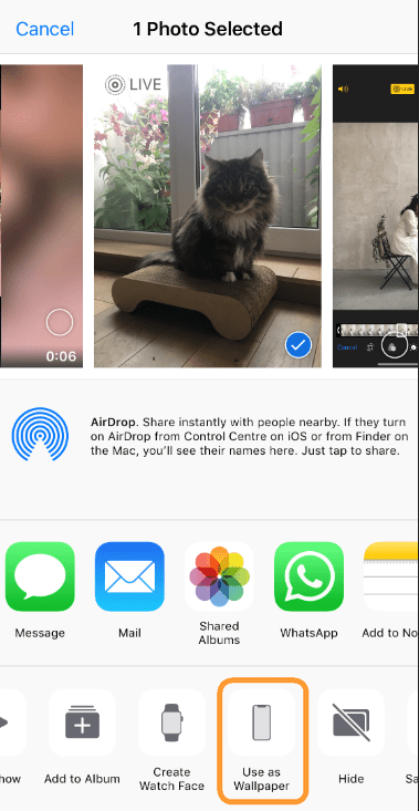 Set a Live Photo as a wallpaper