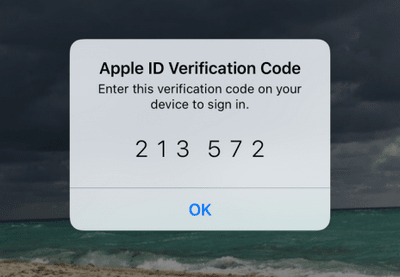 Apple ID verification screen in CopyTrans CLoudly