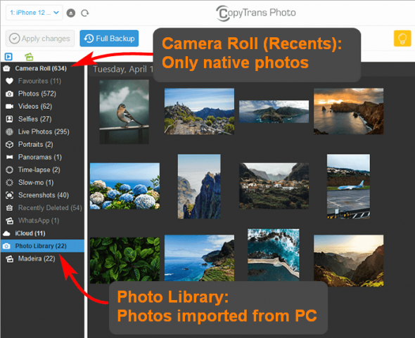Why can’t I add my photos or videos to Camera Roll?