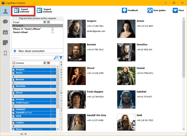 Click on export selected to copy contacts from iPhone
