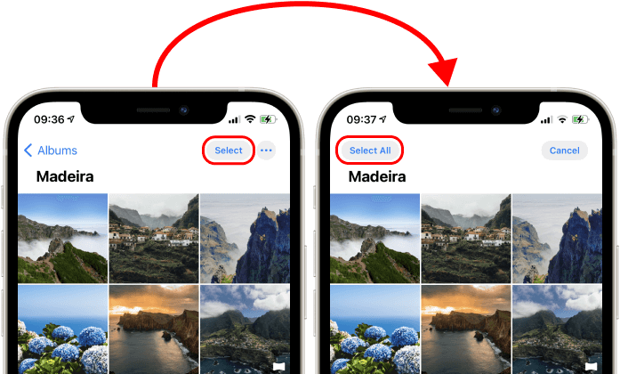 Selecting photos in iPhone photo album