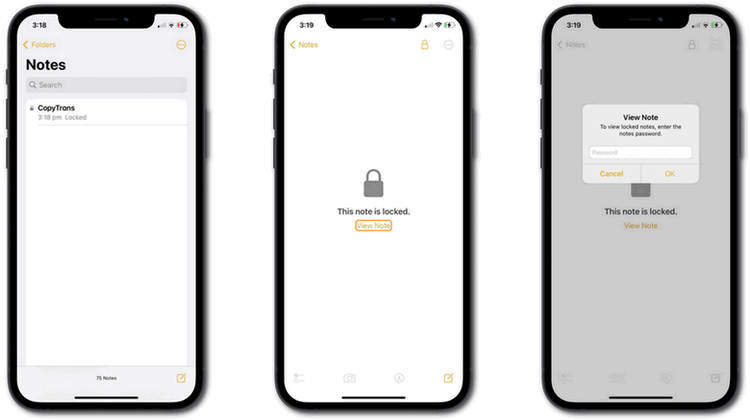 view the locked note on iphone