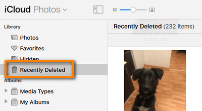 Recently deleted folder in iCloud