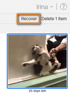 Recover recently deleted photo from iCloud