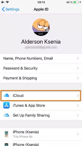 Tap on iCloud in the settings menu