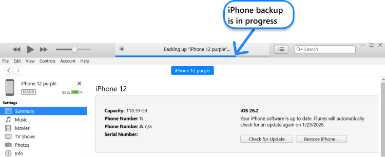 How to see backup progress in iTunes?