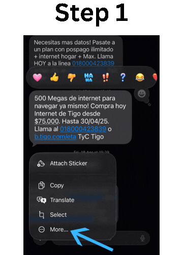 Select and copy all text messages on iPhone