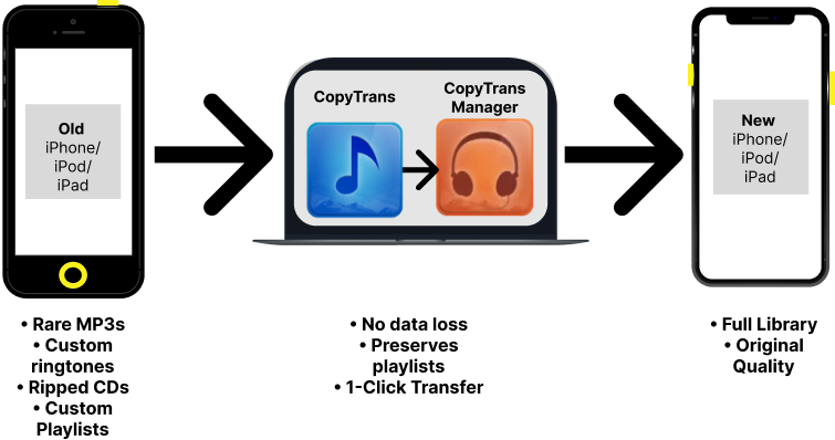 Infografic on how to transfer music from one iOS device to another via CopyTrans for Windows
