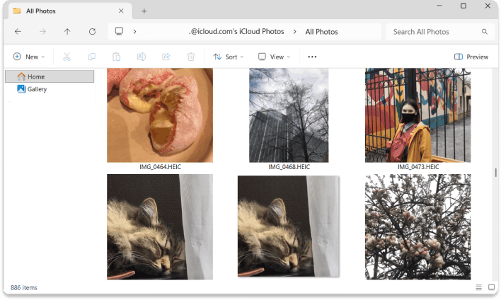 iCloud photos that CopyTrans Cloudly downloaded to a Windows PC