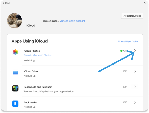 Open iCloud Photos Settings in iCloud for Windows