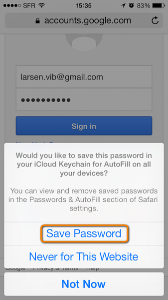 save password to keychain in iphone safari