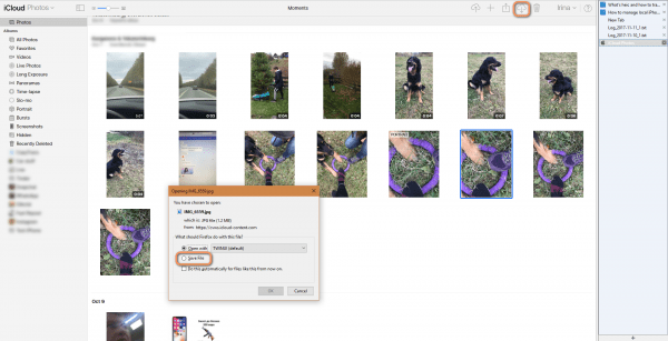 Click on the download button to backup you heic photos from iCloud Photo Library