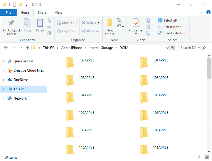 Find the video in one of the folders