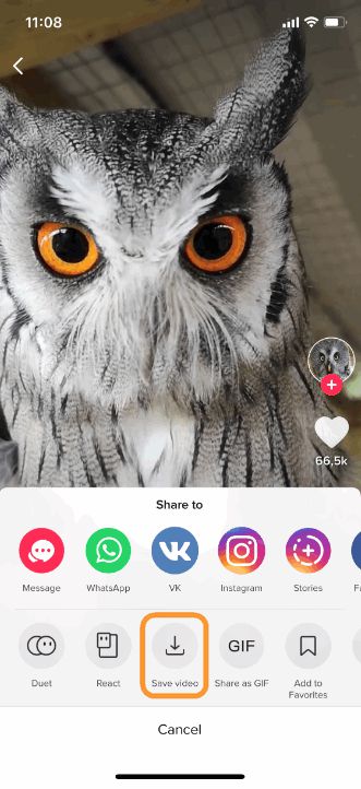 Click Save video to download the TIkTok video