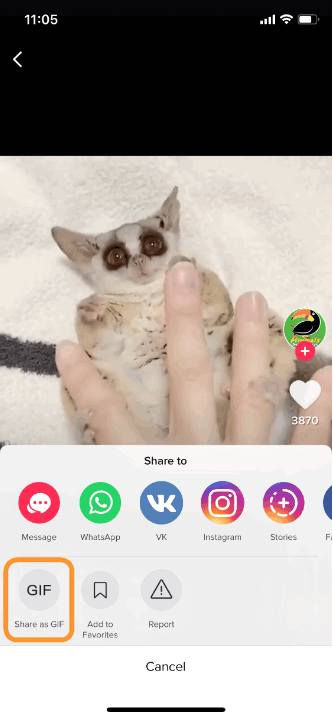 Select Share as a GIF option