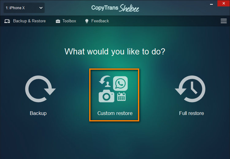 restore selected data copytrans shelbee custom restore
