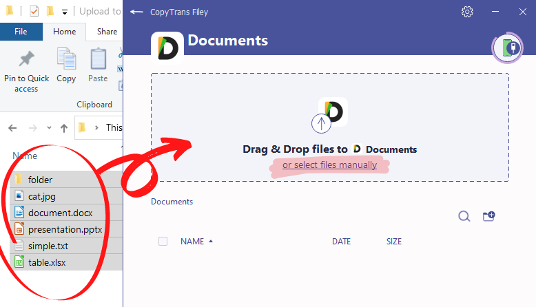 CopyTrans Filey files selection