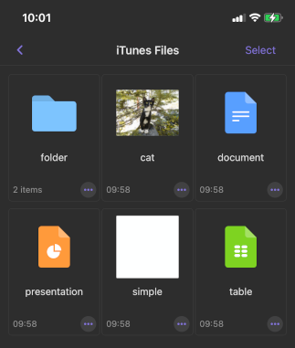 Transfered files in Documents app