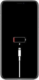 iPhone died and wont turn on while charging