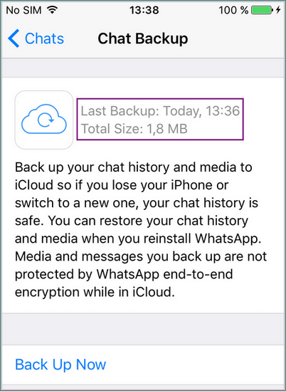 See the date of the last iCloud backup