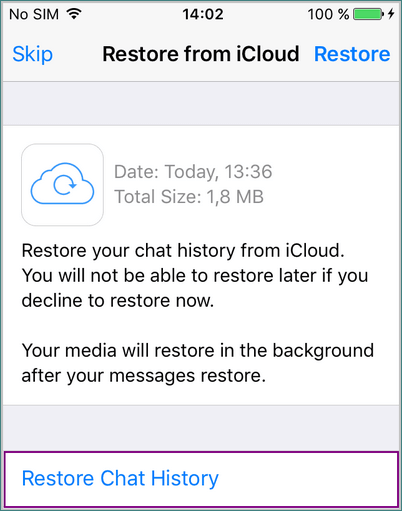 iCloud restore the chat history