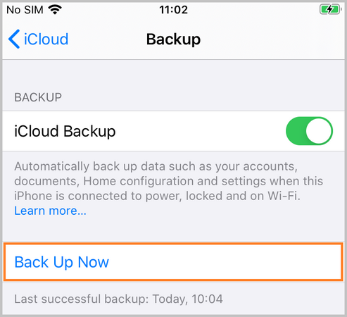 Choose to Back Up Now with iCloud