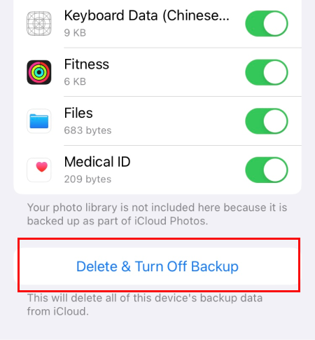 Delete and Turn Off iCloud backup