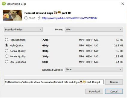 select the format and quality of a youtube video