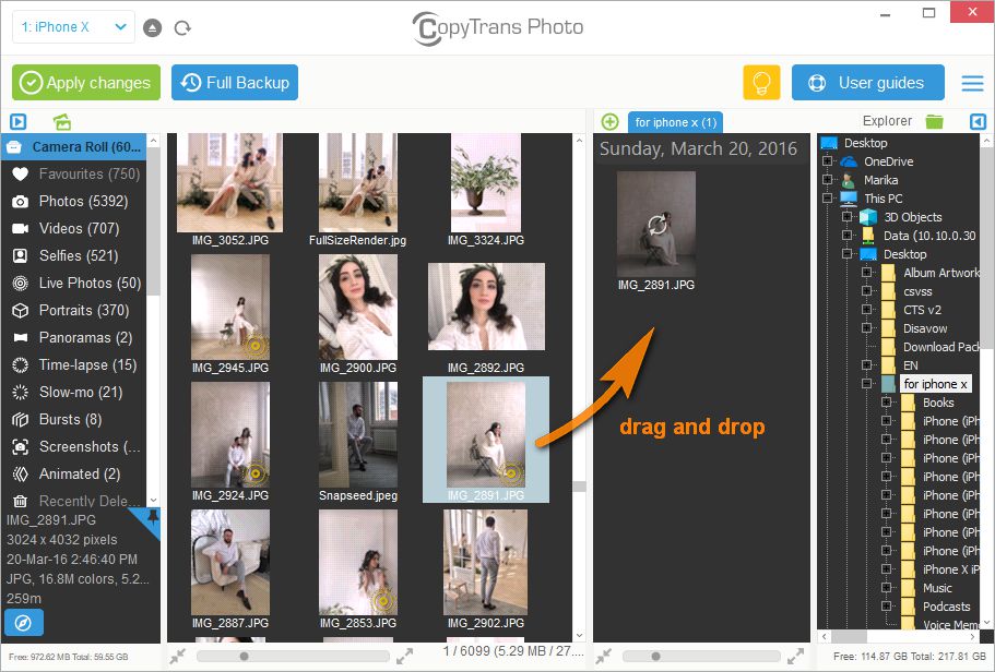 Convert Live Photo to video