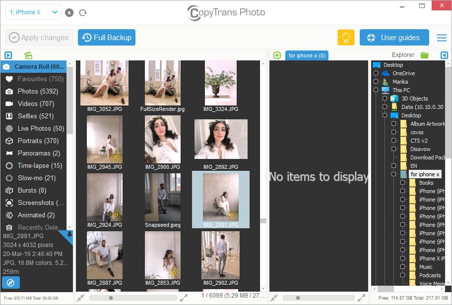 CopyTrans Photo interface with Live Photos