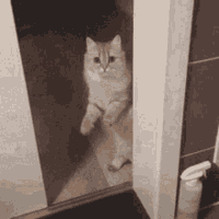 a funny gif file