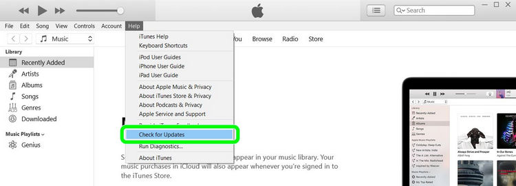 iTunes doesn't recognize iPhone on PC