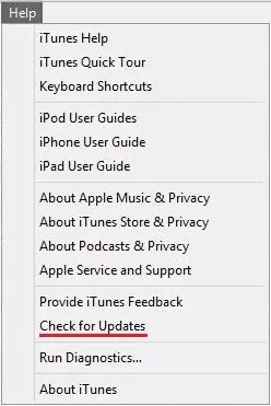 Check for the updates in iTunes