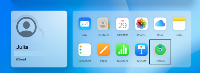 Choose Find My in iCloud