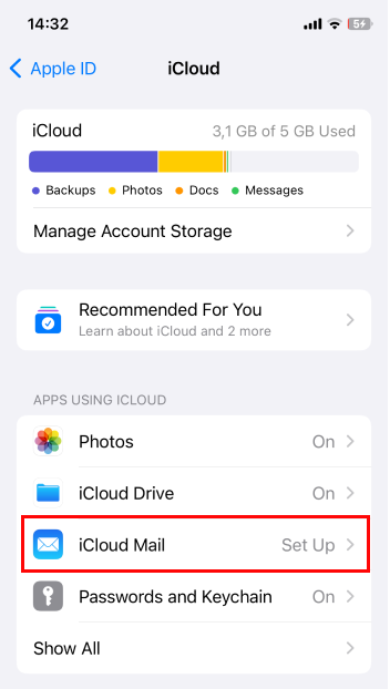 Turn off iCloud Email 