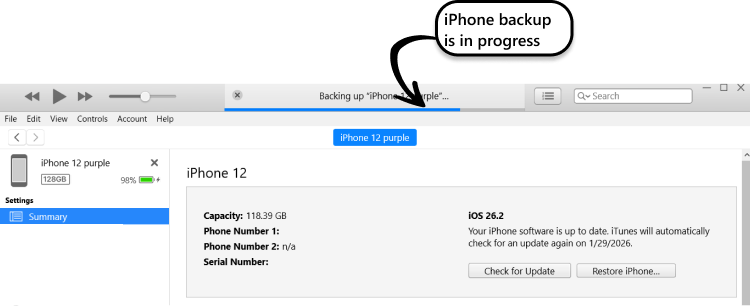iTunes backup in progress on Windows 11